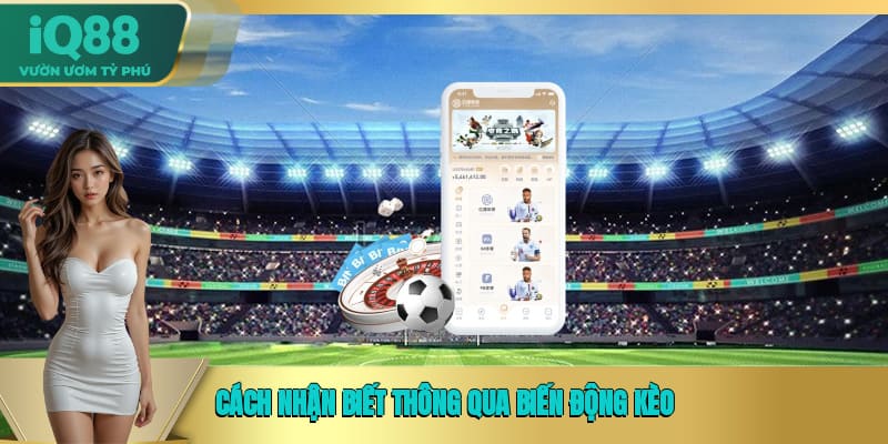 Cách nhận biết thông qua biến động kèo Cách nhận biết thông qua biến động kèo