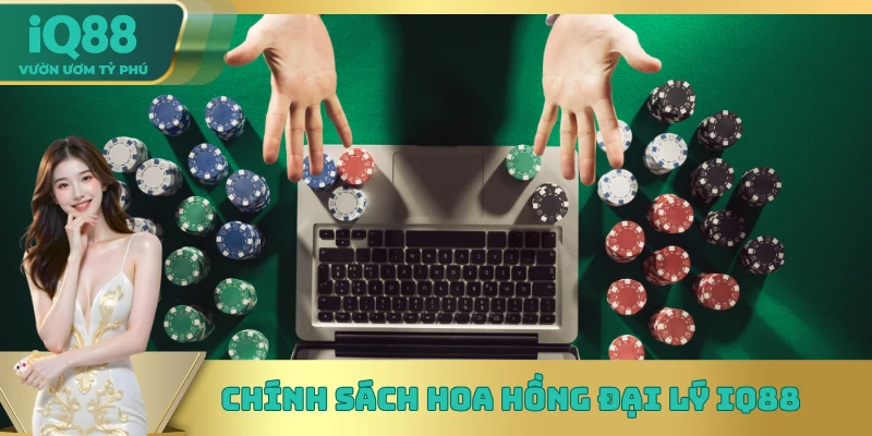 Chính sách hoa hồng đại lý IQ88