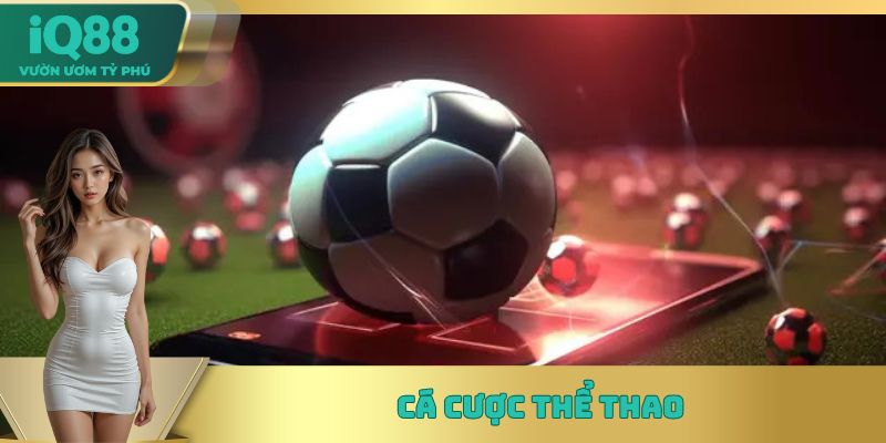 Sảnh cược thể thao với đa dạng các bộ môn khác nhau