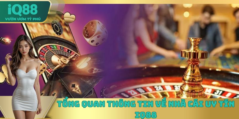Một vài thông tin cơ bản cần biết về nhà cái đẳng cấp IQ88