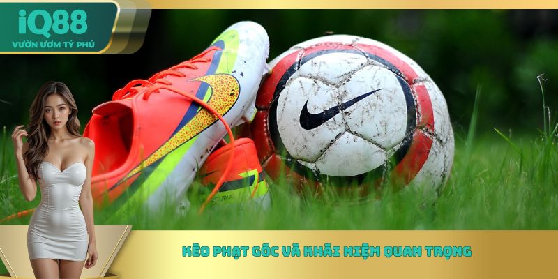 Kèo phạt góc và khái niệm quan trọng Kèo phạt góc và khái niệm quan trọng