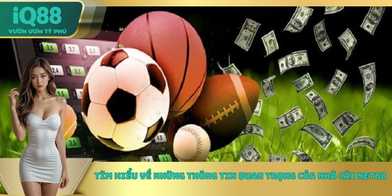 Tìm hiểu về những thông tin quan trọng của nhà cái Net88 Tìm hiểu về những thông tin quan trọng của nhà cái Net88